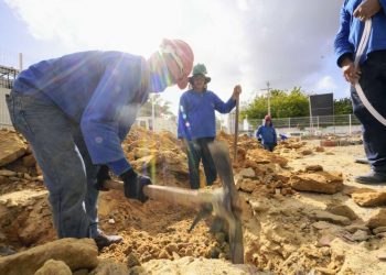 Resultado foi puxado principalmente pelos serviços (4.095) e construção civil (2.472), mas também se destacam os setores do comércio (1.465) e indústria (1.340) (Foto: Carlos Gibaja/Governo do Ceará)