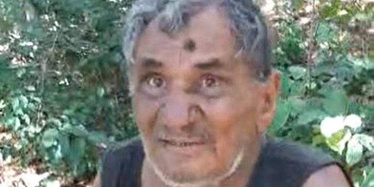 Perdido na mata por 8 dias, idoso comeu cupins e bebeu urina para sobreviver