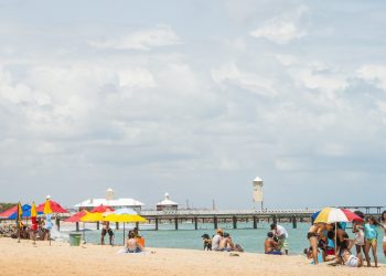 (Foto: Ariel Gomes/Governo do Ceará)