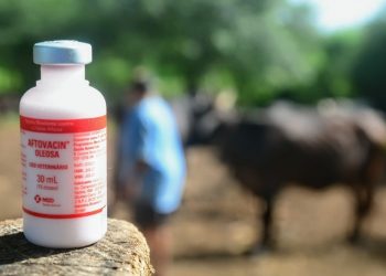 (Foto: Wilson Moreno/Secom/PMM)