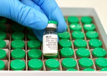 Vacina contra a esquistossomose (Foto: Gutemberg Brito/IOC/Fiocruz)