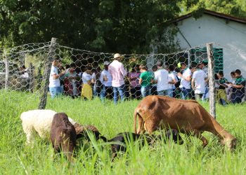 (Foto: Divulgação/IFCE)
