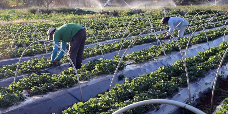 Saiba onde fazer a declaração de ITR no Crato; prazo vai até 29 de setembro