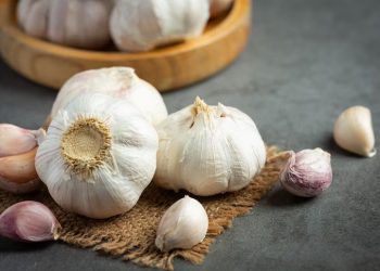 Como o alho pode ajudar a manter as baratas longe da sua casa?