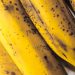 Por que bananas ficam pretas e como evitar esse processo?