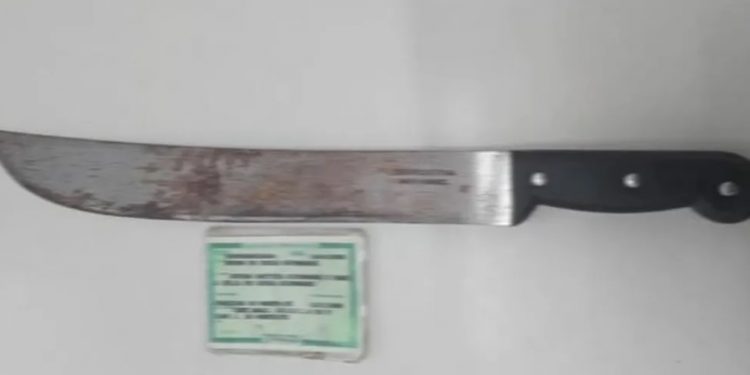 Juazeiro do Norte: Jovem é agredida com golpes de facão ao tentar impedir que homem machucasse cachorro