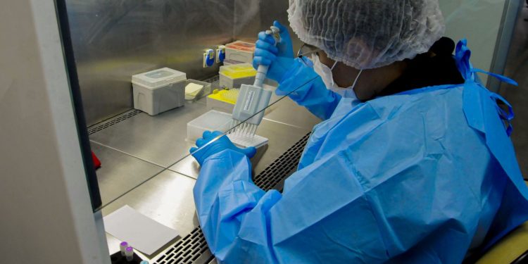 Novo remédio para hepatite C poderá baixar custo do tratamento no SUS