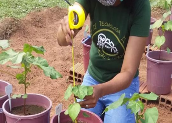 (Foto: Divulgação/Fatec Cariri)