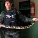 Polícia Militar resgata cobra caninana em residência no Crato