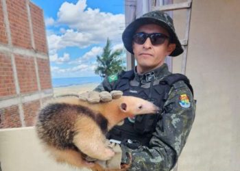 (Foto: Divulgação/PMCE)