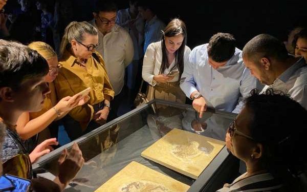 Fóssil Ubirajara jubatus começa a ser exposto no Museu de Paleontologia no Cariri