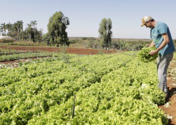 (Foto: Ronaldo Caldas/Ministério da Cidadania)