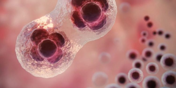 Novo estudo descobre tratamento revolucionário contra o câncer