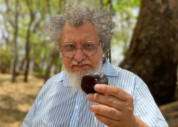 Da natureza íntima ao voo dos pássaros: Centro Cultural do Cariri abre exposição “Encarnado”