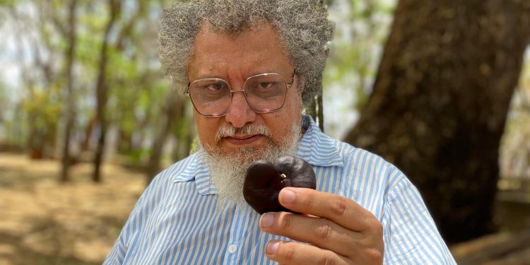 Da natureza íntima ao voo dos pássaros: Centro Cultural do Cariri abre exposição “Encarnado”