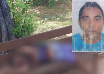 (Foto: Reprodução)