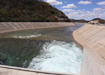 (Foto: Divulgação/SRH)