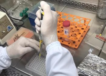 (Foto: Arquivo LaBEM - CCAB/UFCA)