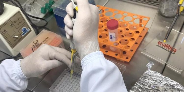 Pesquisadores da UFCA descobrem moléculas em plantas da Chapada do Araripe que podem inibir infecção por Covid-19