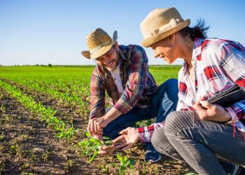 (Foto: Divulgação/Ministério da Agricultura)