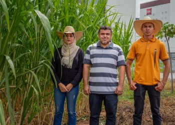 (Foto: Divulgação/Centec)