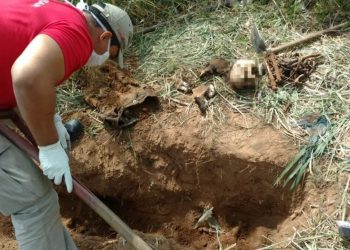 Ossada foi achada em local onde suspeitos realizavam rituais macabros, diz polícia (Foto: Divulgação/Corpo de Bombeiros)