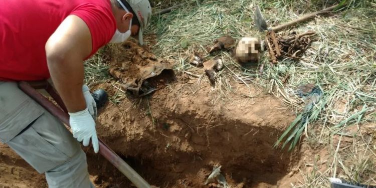 Iguatu: Acusados de matar quatro pessoas em ritual macabro para ganhar na Mega-Sena são condenados