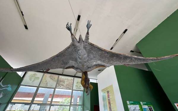 Geopark Araripe celebra 17 anos com Selo Verde em cinco avaliações da UNESCO