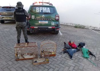 (Foto: Divulgação/PMCE)