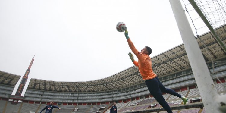 Onde assistir o jogo do Brasil hoje, terça-feira (12); veja horário e provável escalação