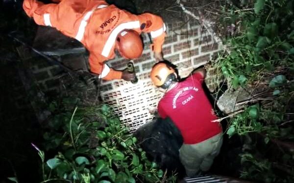 Vaca de 400 kg é resgatada de fossa com apoio de retroescavadeira em Quixadá