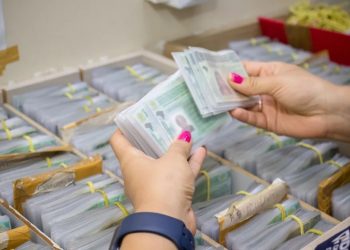 CNH Popular 2023 beneficiará 25 mil cearenses com gratuidade para primeira habilitação