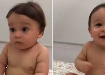 Thiago Almeida viraliza ao som de Luiz Gonzaga (Foto: Reprodução/@thiaguinho.almeid7 no TikTok)