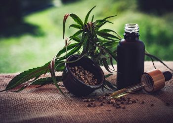 (Foto: CBD-Infos-com/Pixabay)