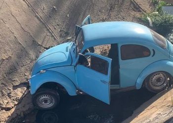 (Foto: Reprodução)