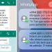 Números estrangeiros desconhecidos têm entrado em contato com usuários de WhatsApp (Foto: Reprodução)