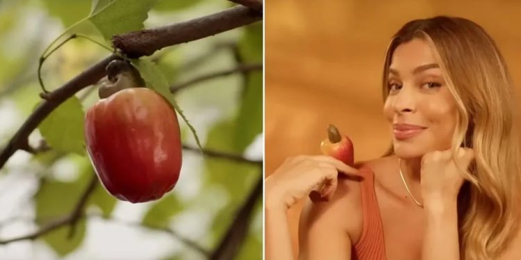 Propaganda com caju que nasce invertido vira piada na web; veja