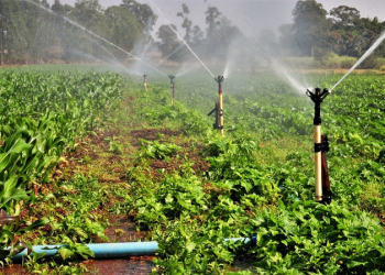 (Foto: Divulgação/MIDR)
