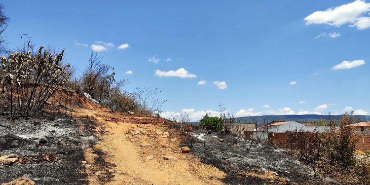 Ceará tem alerta de calor e risco de incêndio em mais de 90 municípios; veja locais e como prevenir