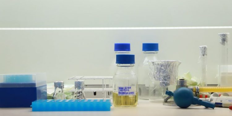 Mestrado em Ciências da Saúde da UFCA abre edital para bolsa de pós-doutorado