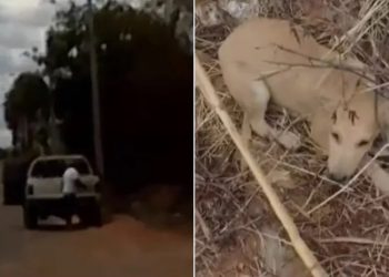 O homem chegou ao terreno baldio em um veículo da Secretaria da Agricultura de Juazeiro do Norte (Foto: Reprodução)