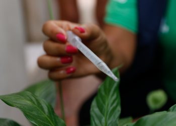 (Foto: Fernando Frazão/Agência Brasil)