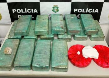 (Foto: Divulgação/PCCE)