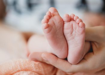 (Foto: Holiak/Freepik)