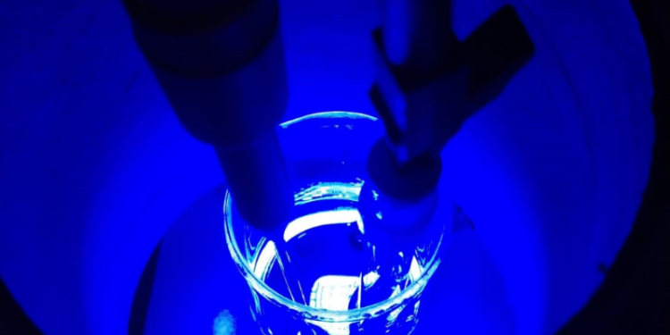 Pesquisador da UFCA vence premiação internacional com projeto de biossensor que identifica lactose em alimentos