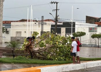 (Foto: Reprodução)