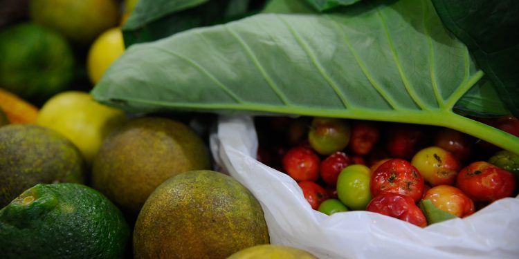 Lula sanciona com vetos lei que acelera registro de agrotóxicos no Brasil