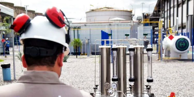 Ceará deve se tornar um dos maiores produtores do combustível do futuro