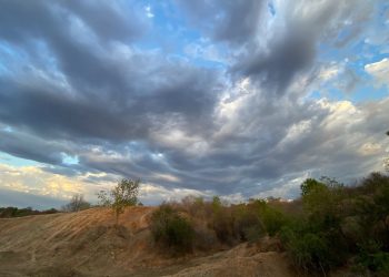 (Foto: Marciel Bezerra)