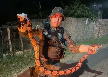 (Foto: Divulgação/PMCE)